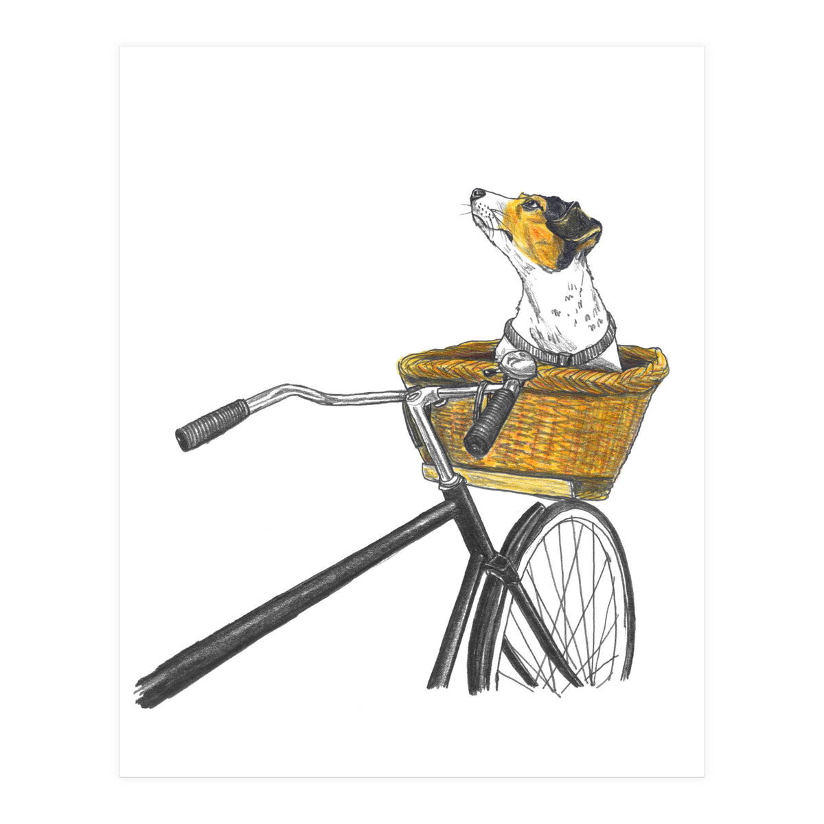 Dog In Basket (Print Only)