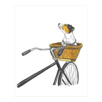 Dog In Basket (Print Only)