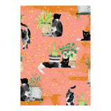 Cats & Plants (Print Only) thumbnail