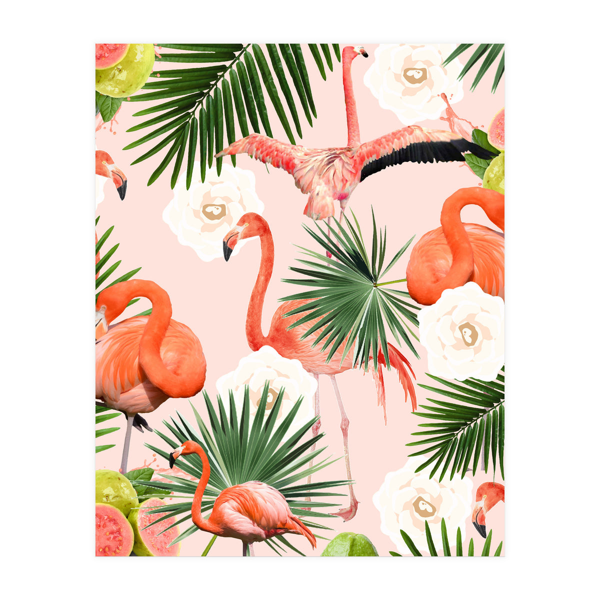 Flamingo Guava (Print Only)