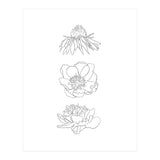Hand Drawn Flowers (Print Only) thumbnail