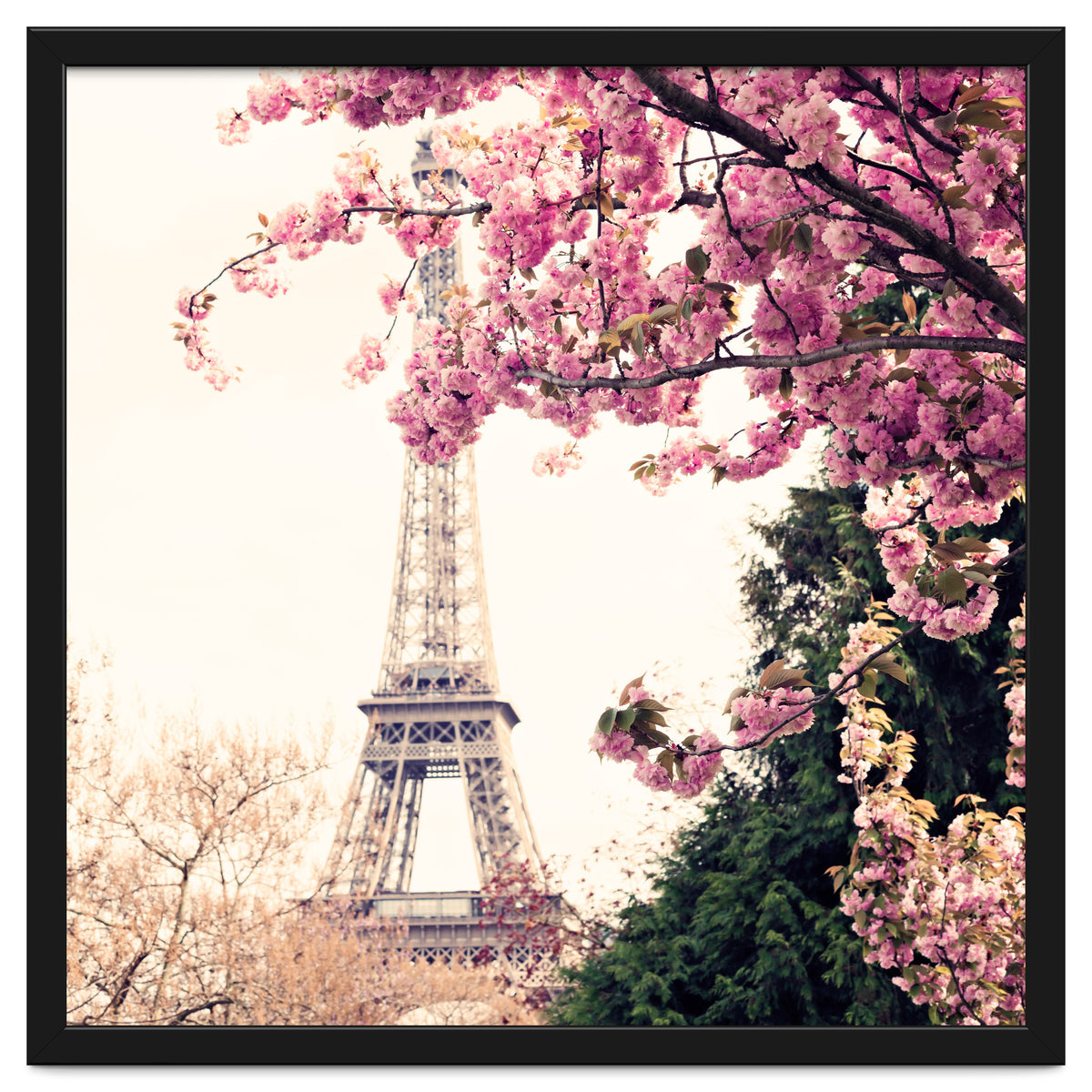 Paris in the Spring