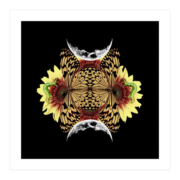 Metamorphosis (Print Only)