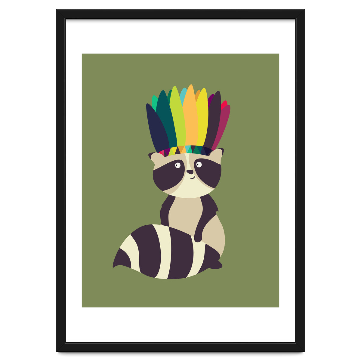 Indian Raccoon