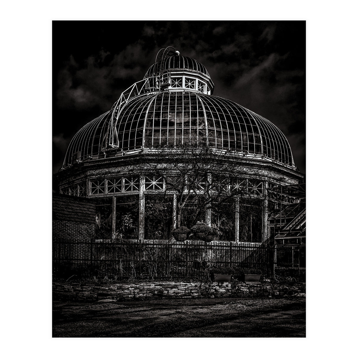 Allan Gardens Conservatory Palm House Toronto Canada No 2 (Print Only)