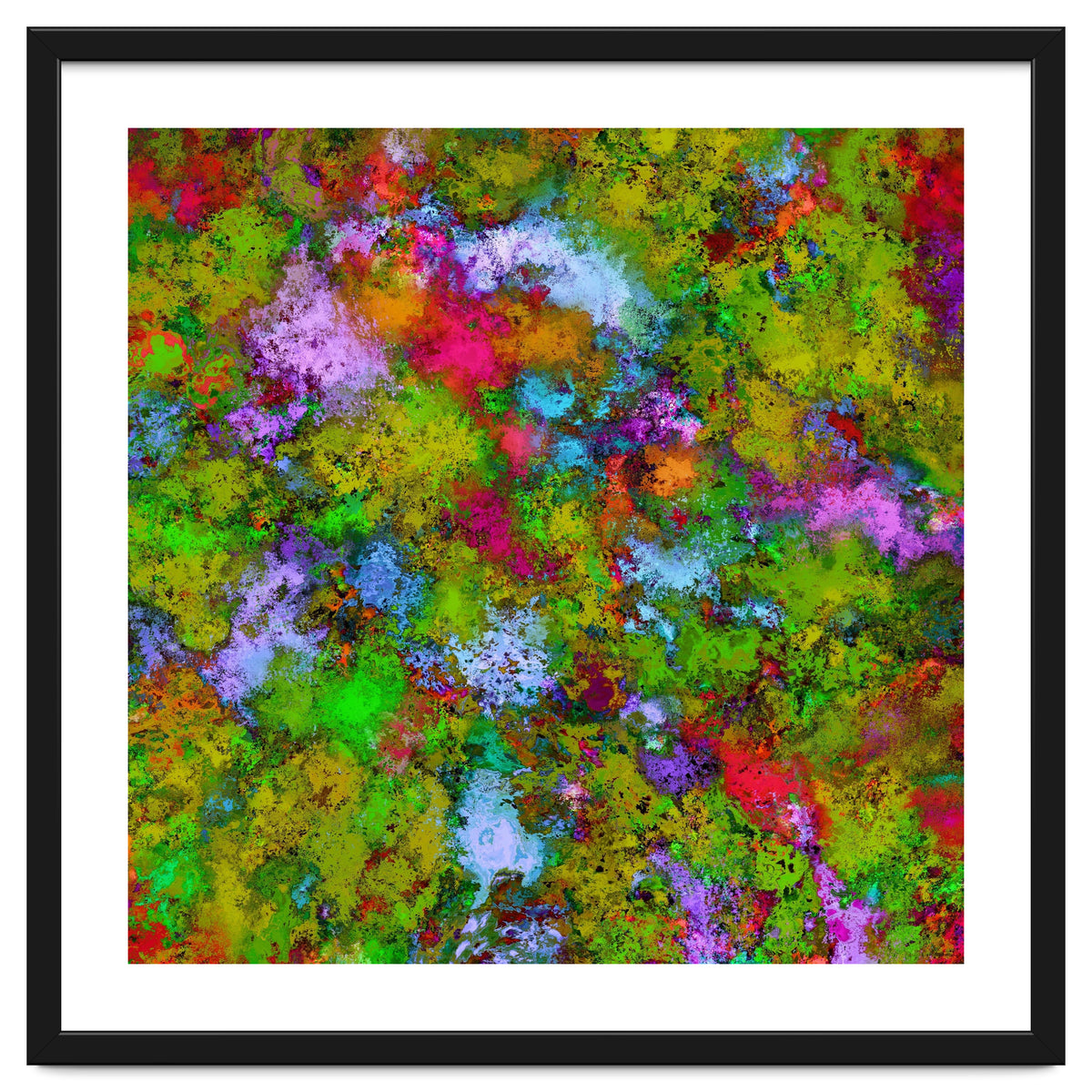 Above The Tree Canopy