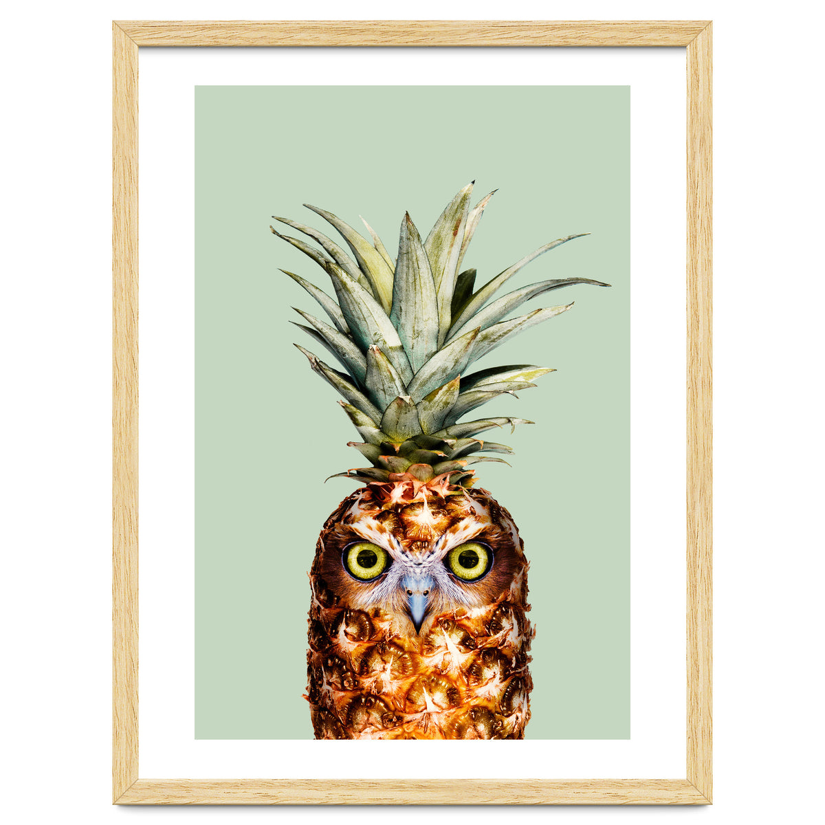 Pineapple Owl