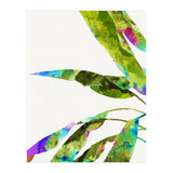 Banana Leaves Holi (Print Only) thumbnail