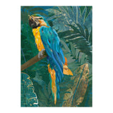 Macaw Meditation in the tropical jungle (Print Only) thumbnail