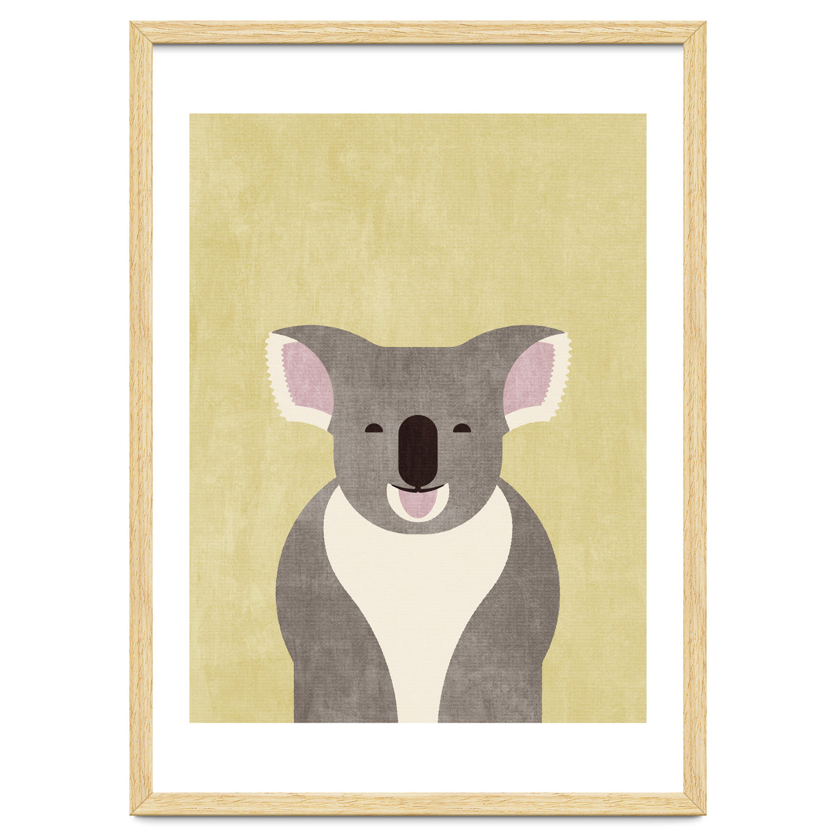 FAUNA / Koala
