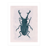 Beetle 3 (Print Only) thumbnail