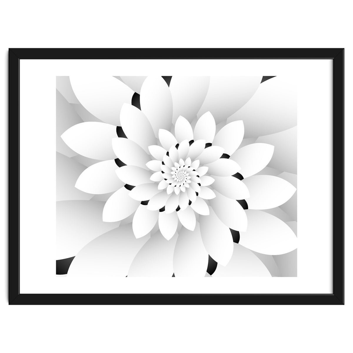 Monochrome Floral Design