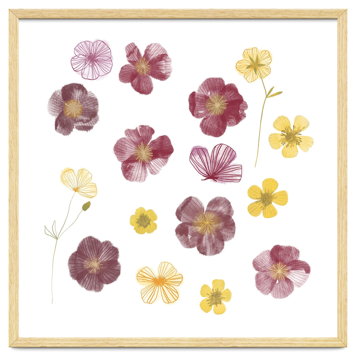 Pressed Flowers