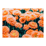 February (Print Only) thumbnail