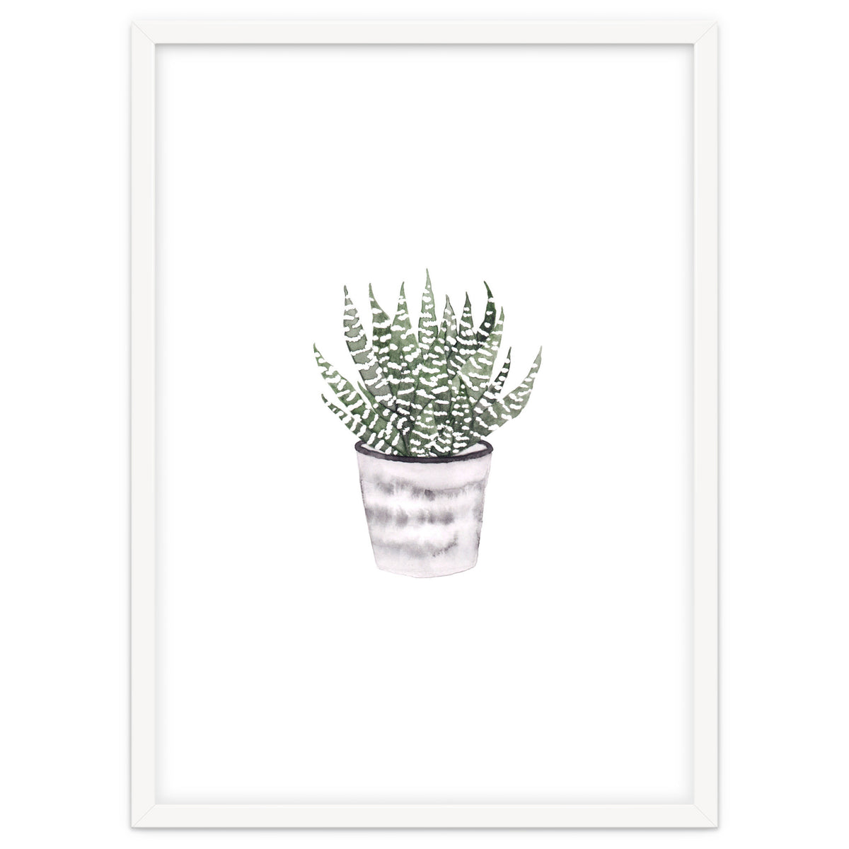 Potted Plant