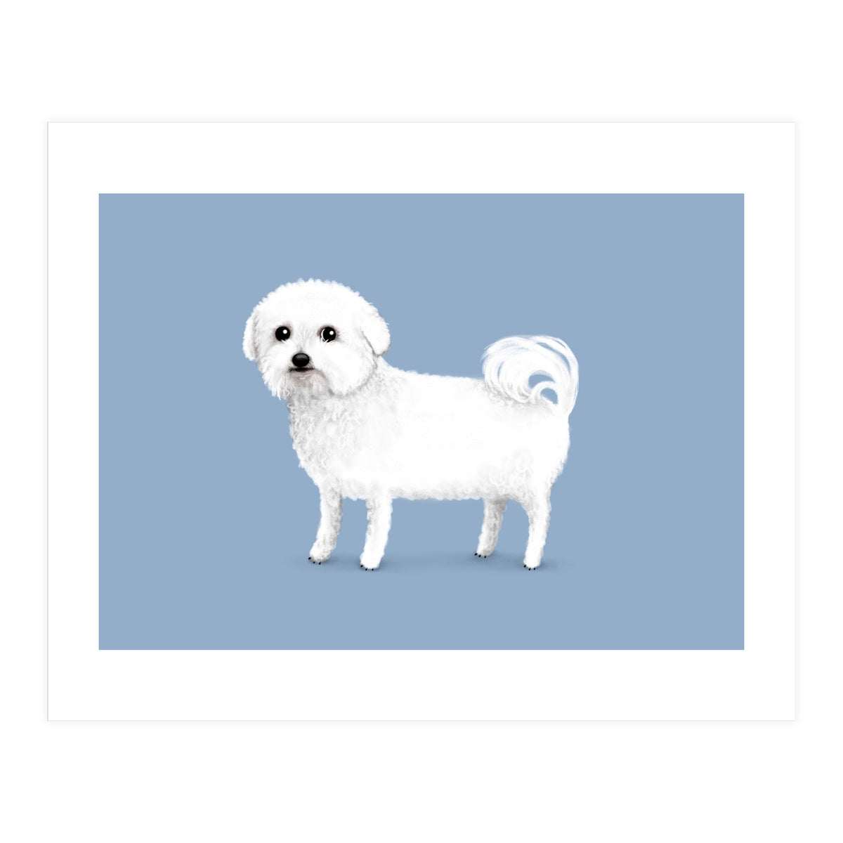 Bichon Frise (Print Only)