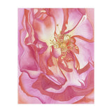 Love Is A Rose (Print Only) thumbnail