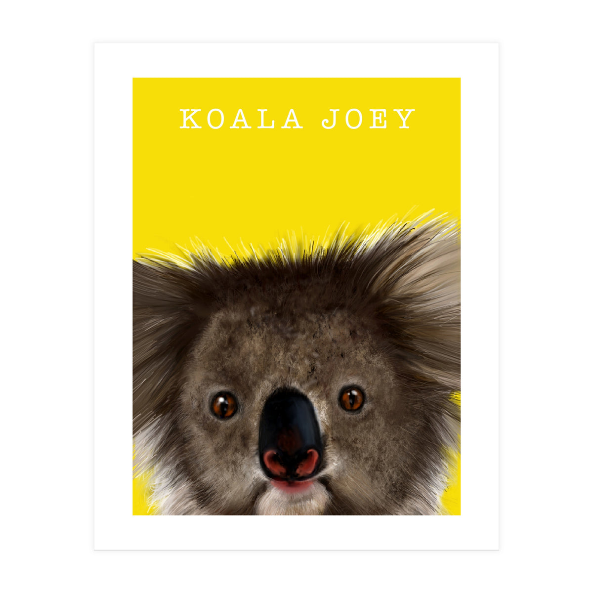 Koala Joey (Print Only)