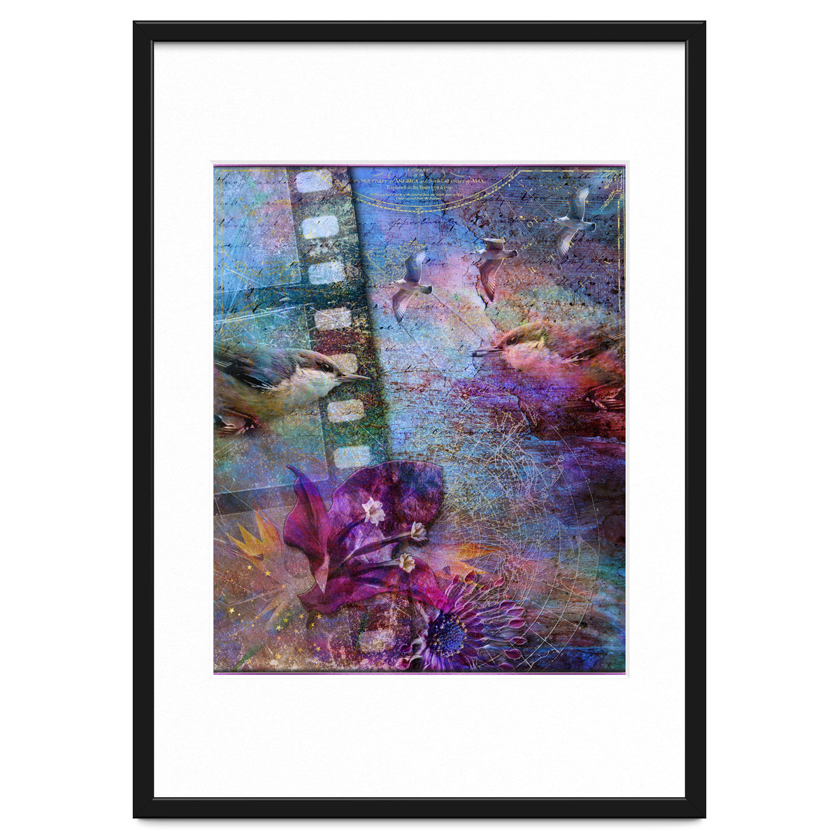 Watching the Wild World