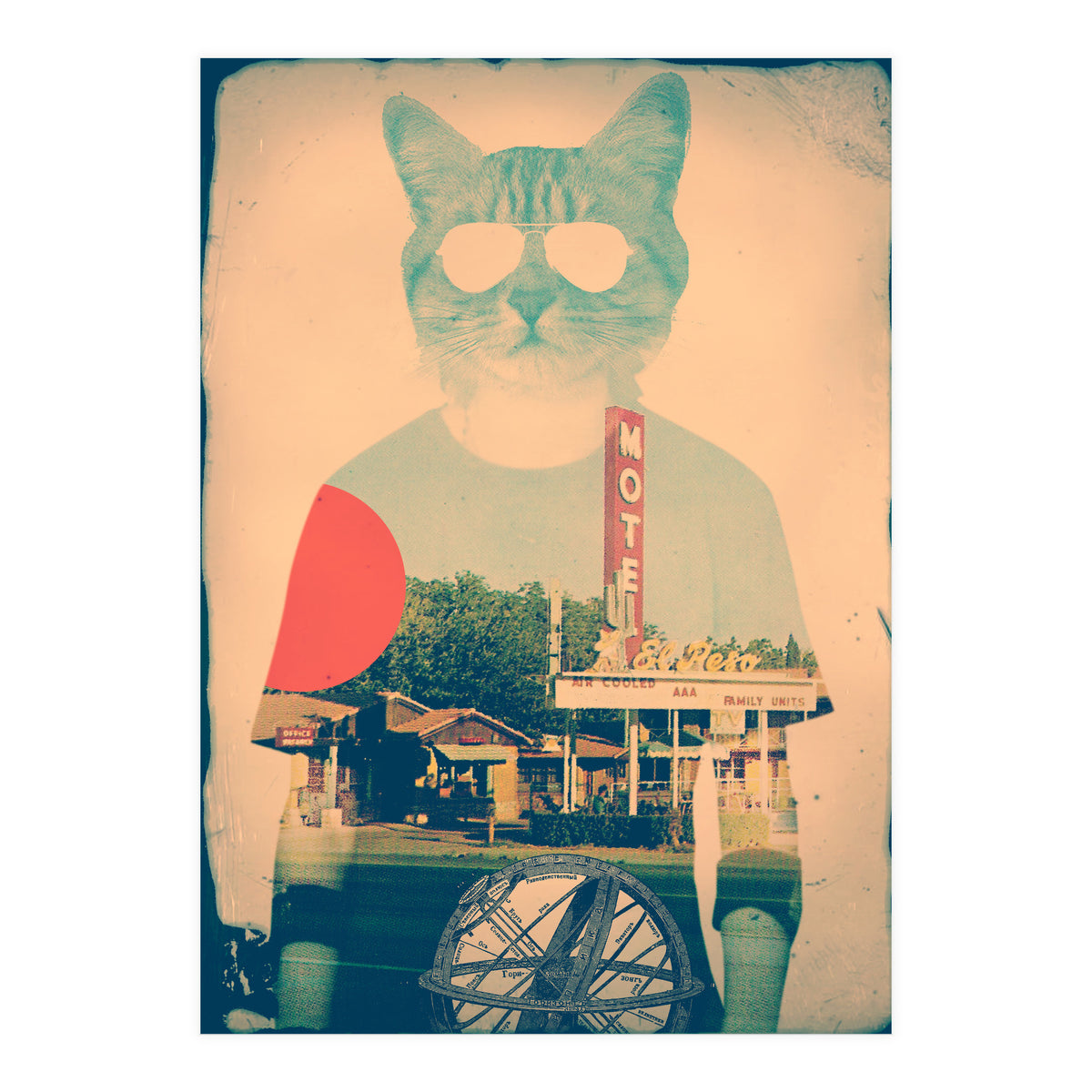 Cool Cat (Print Only)