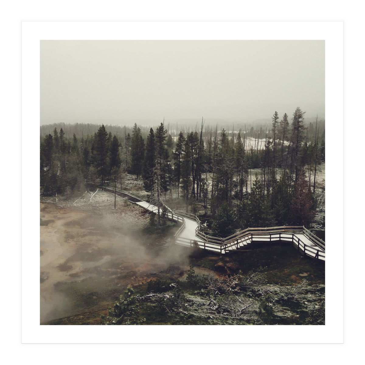 Artists Paint Pots (Print Only)