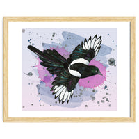 A watercolor drawing of a flying magpie