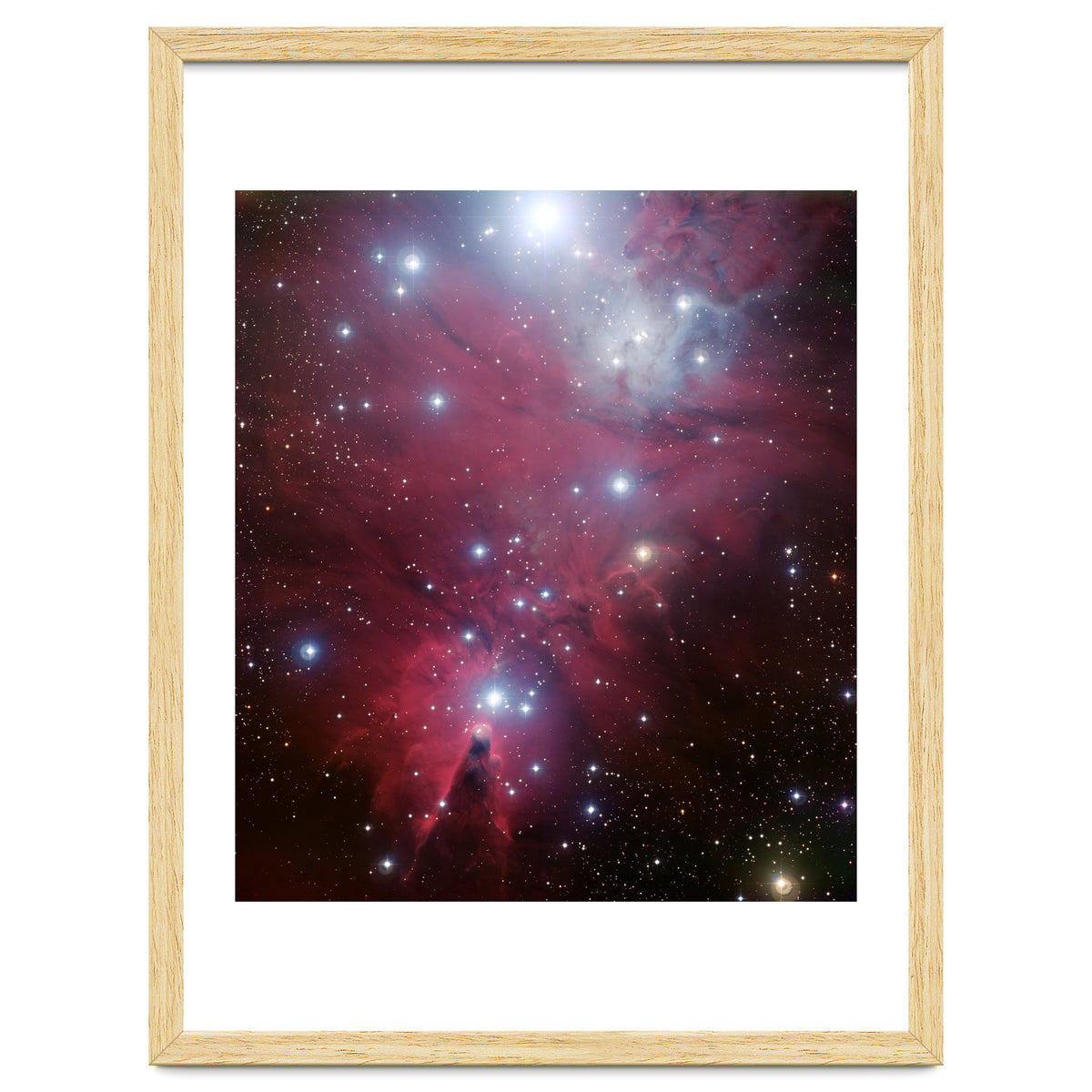 The Christmas Tree Cluster