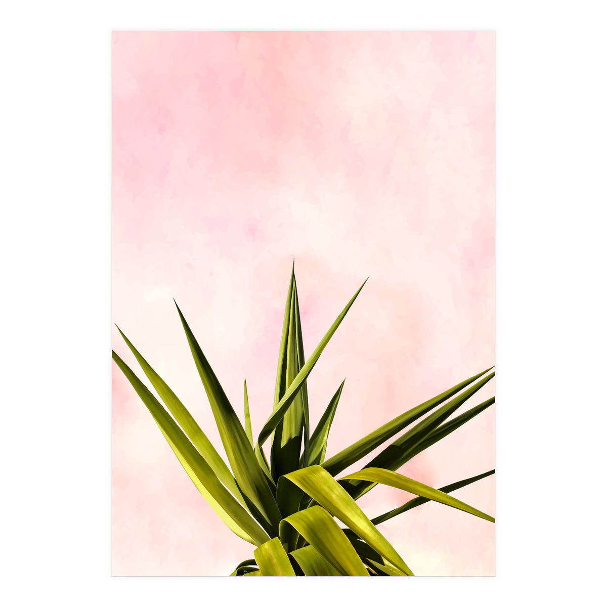 Joy Of Dreams (Print Only)