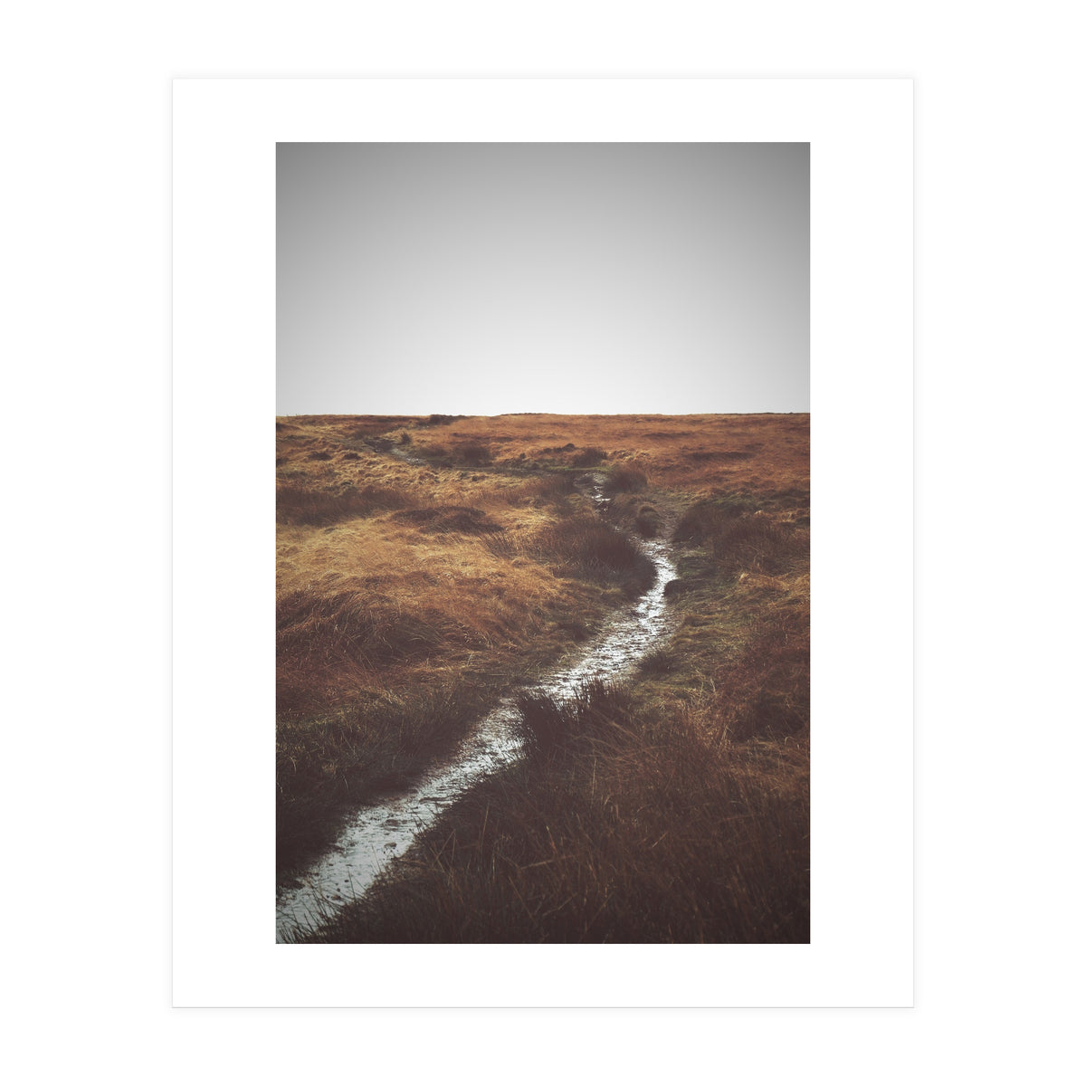 Bleak winter landscape of Saddleworth Moor  (Print Only)