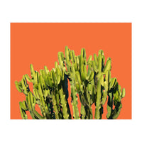 Bold Cactus (Print Only)