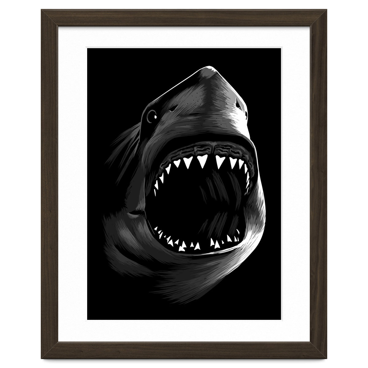 Megalodon