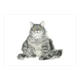 Fatcatred (Print Only) thumbnail