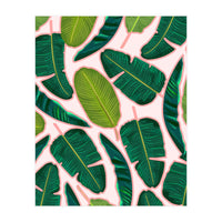 Banana Leaf Blush (Print Only)