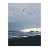 Ocean Beach II (Print Only) thumbnail