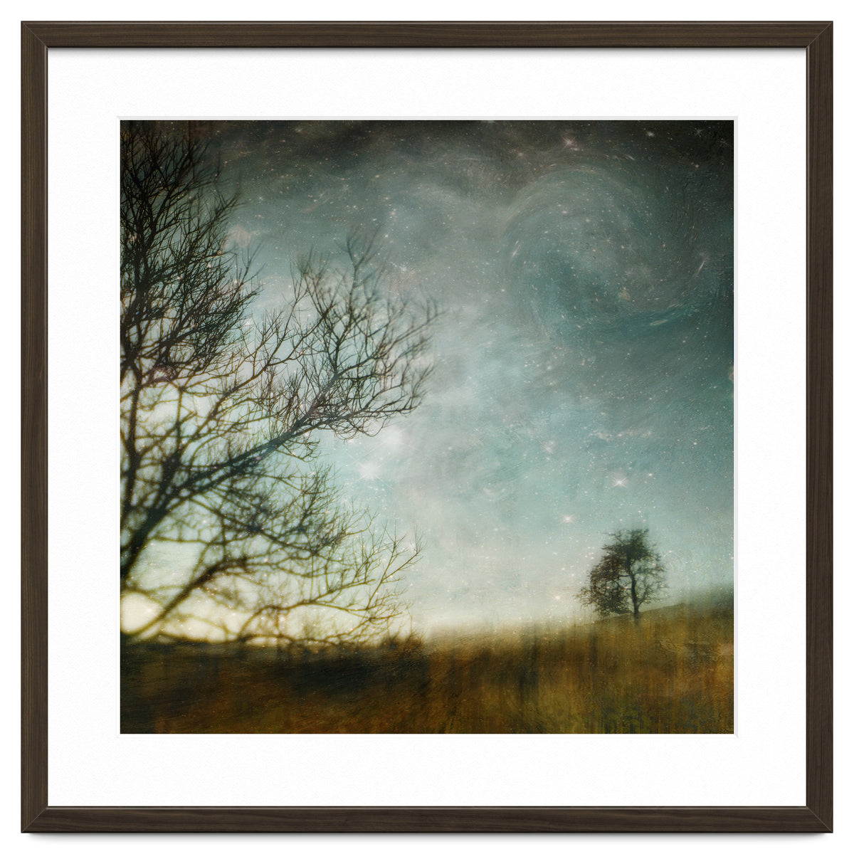 The Tree That Whispered