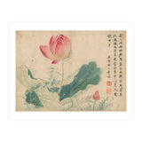 Qing Wangwu Flower album, lotus, lotus leaf, pond, copy of water grass (Print Only) thumbnail