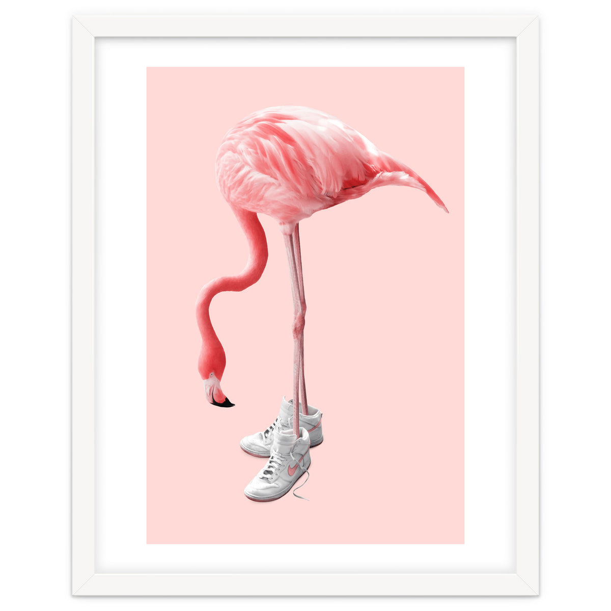Sneaker Flamingo