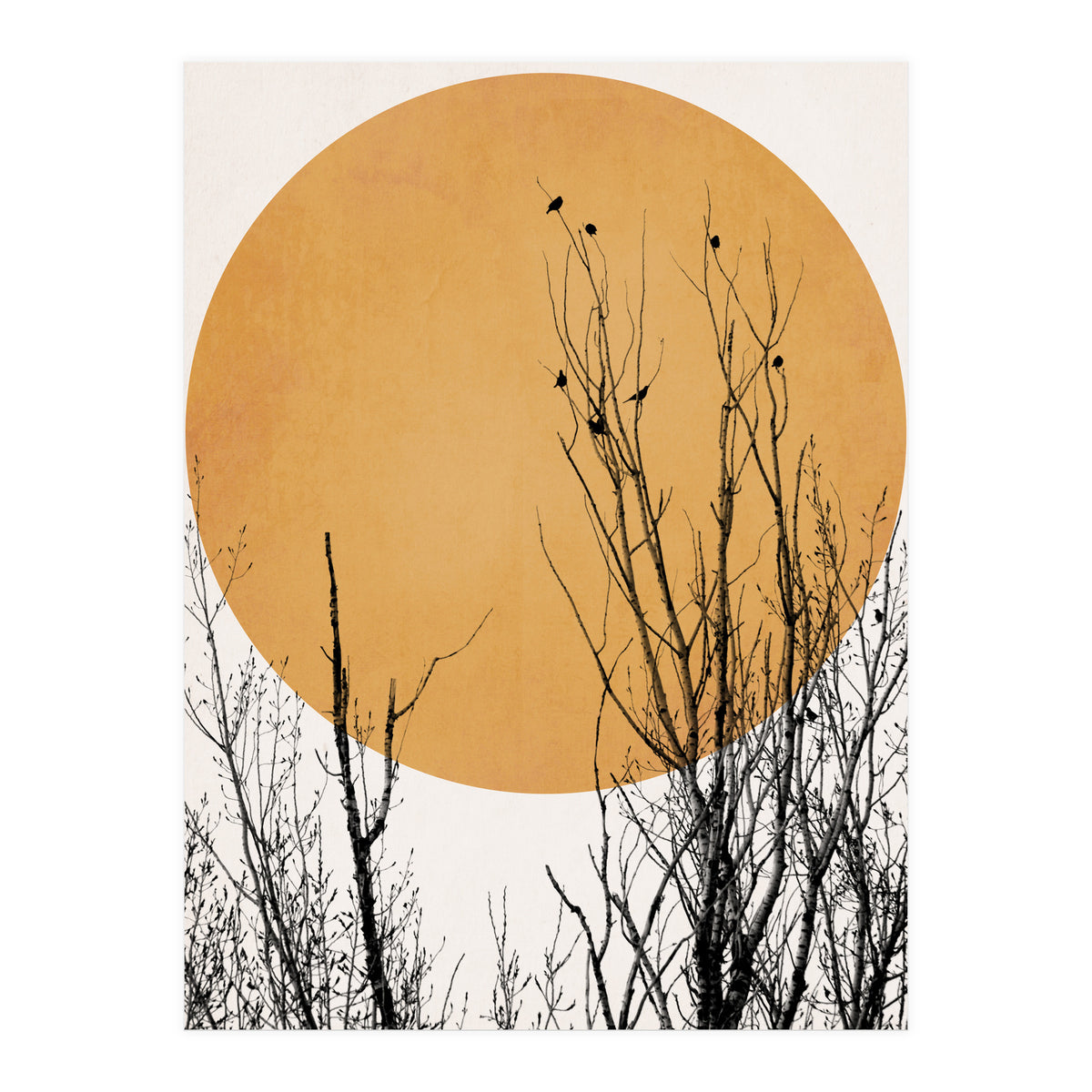 Sunset Dreams Yellow (Print Only)