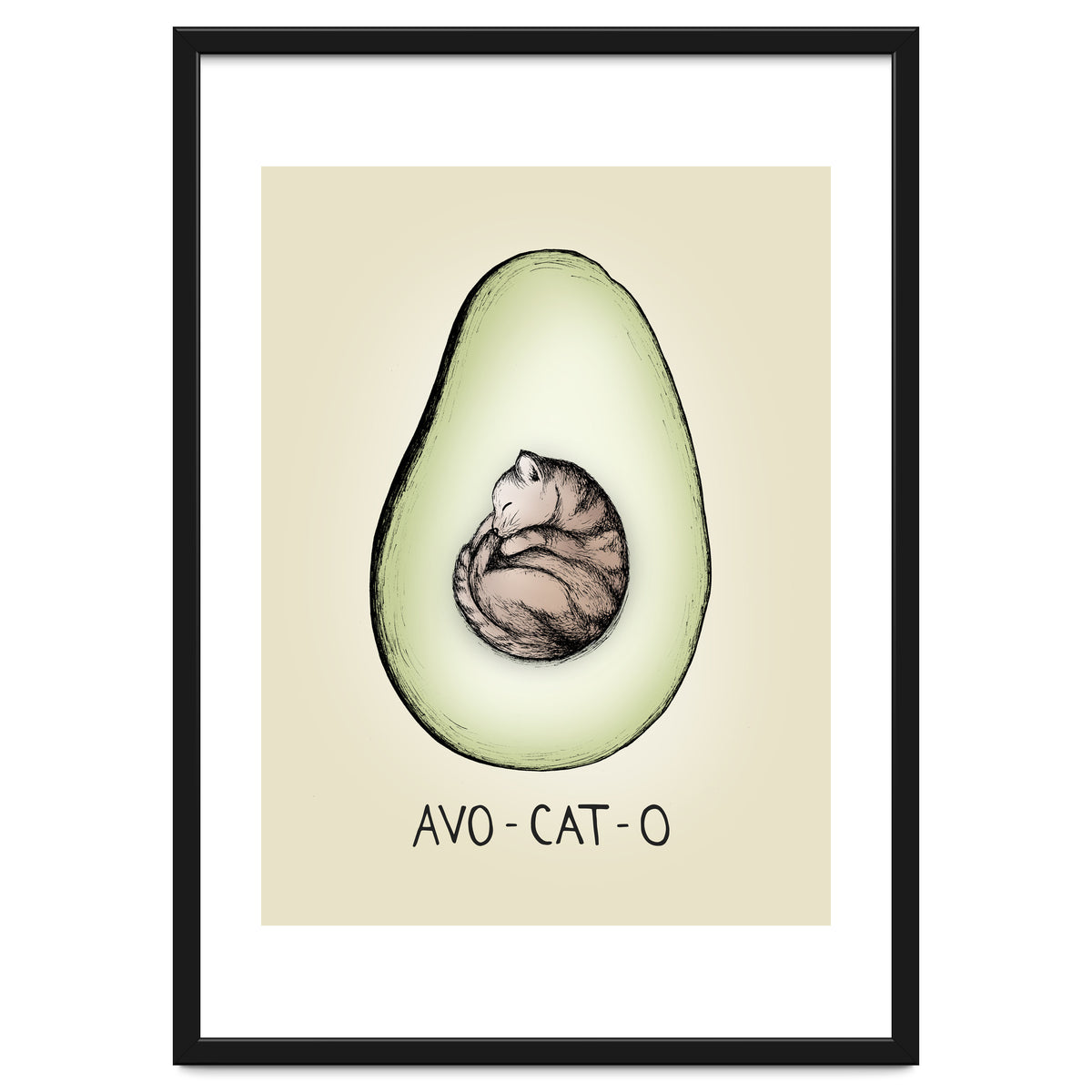 Avo-cat-o