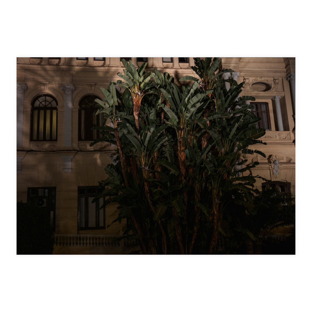 Malaga at Night (Print Only)