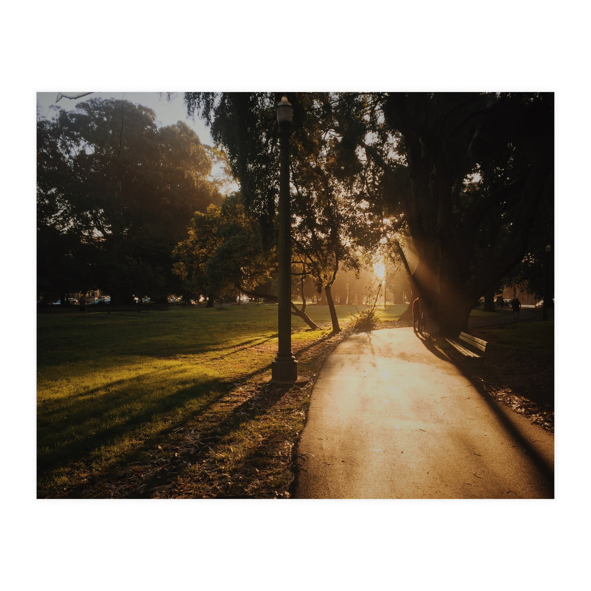 The Panhandle (Print Only)