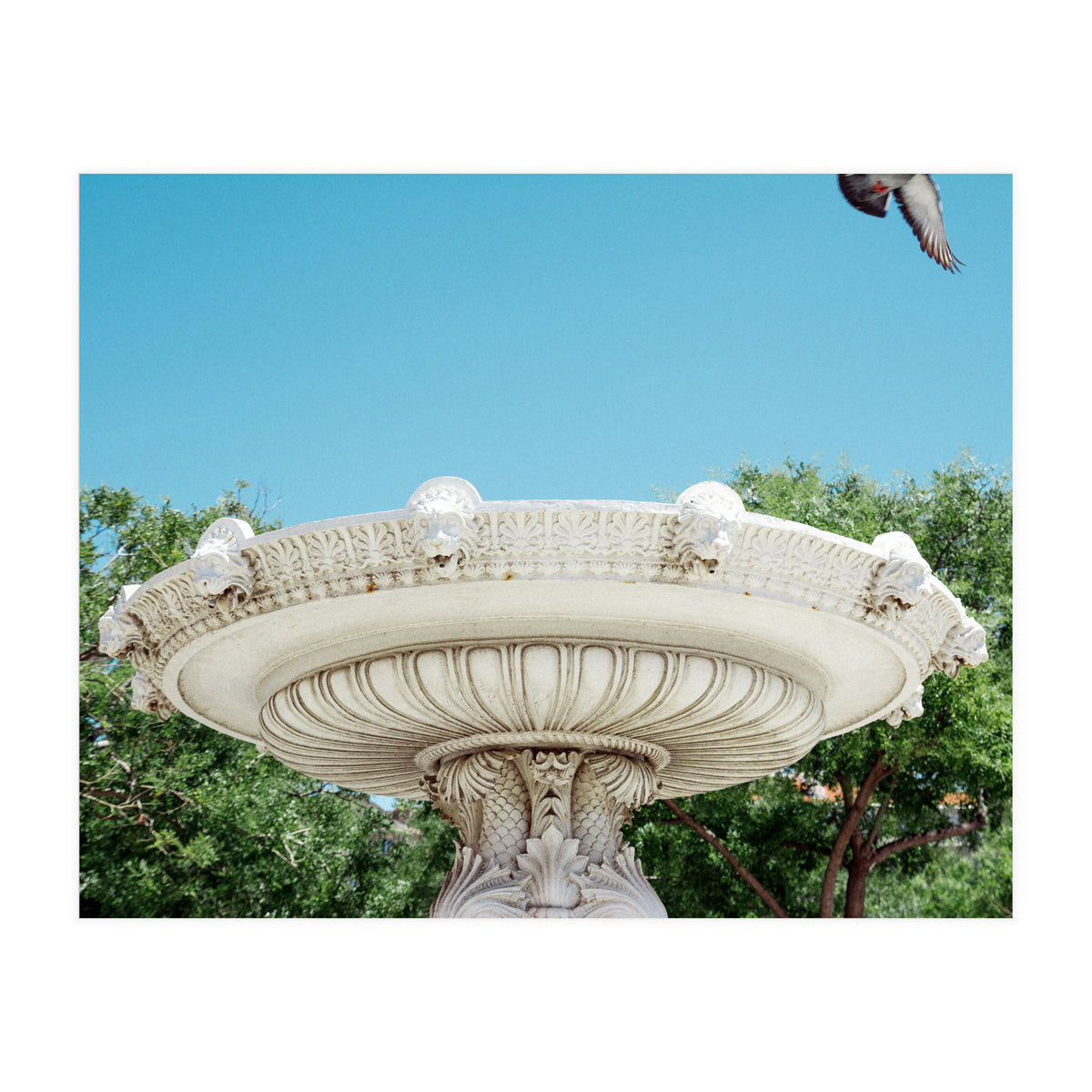 Holy Grail (Print Only)