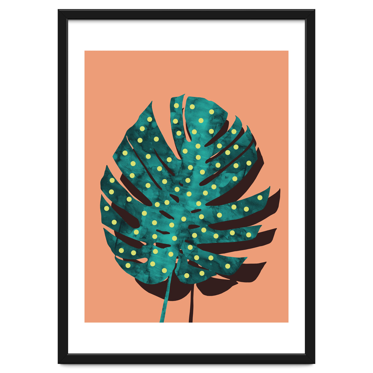 Monstera Deliciosa IV