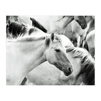 Horses (Print Only)