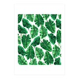 Taro (Print Only) thumbnail