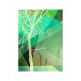 P22 B Trees And Triangles (Print Only) thumbnail