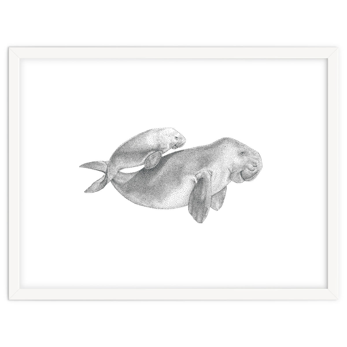 Dugongs no. 1