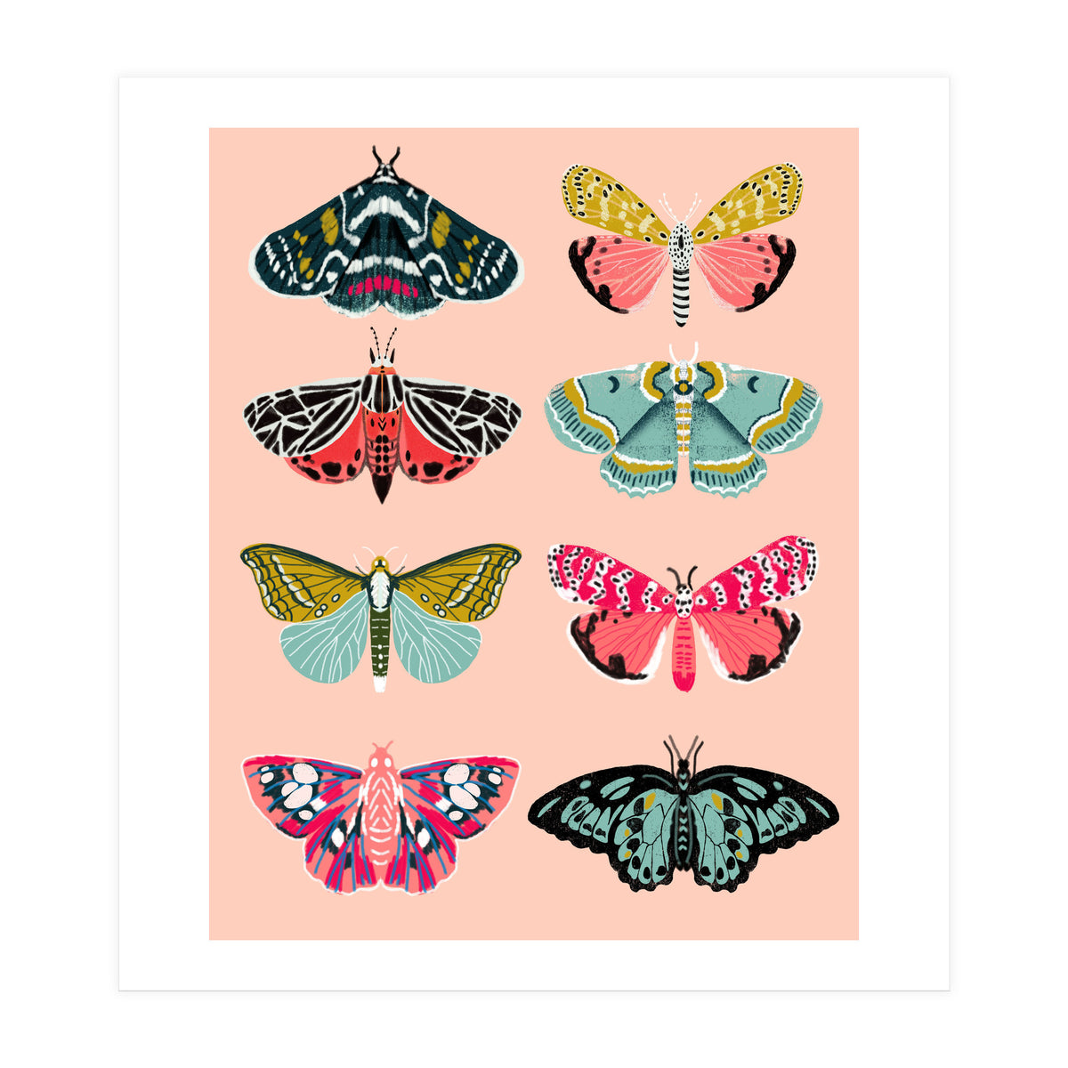 Lepidoptery No. 1 (Print Only)