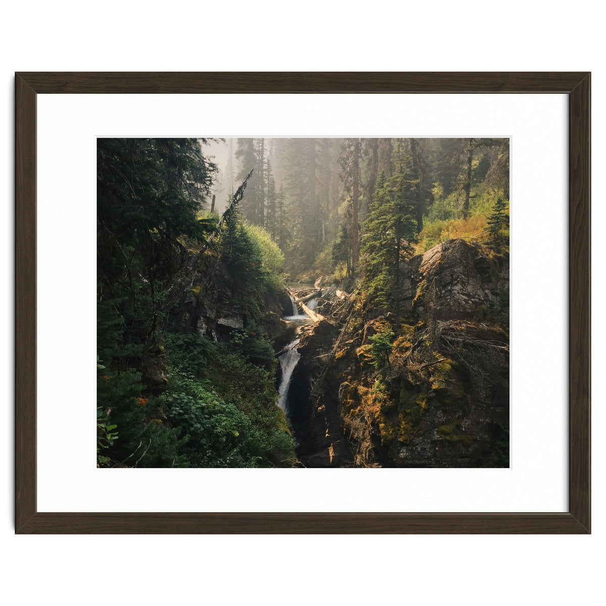 Glacier National Park I