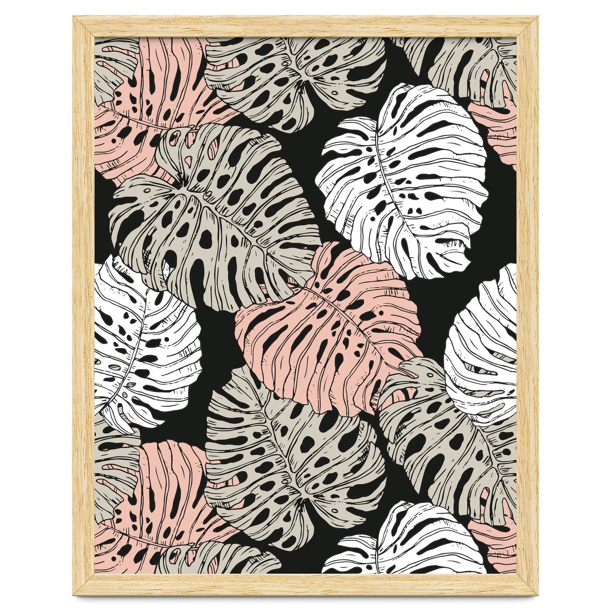 Monstera in the darkness of the jungle